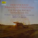 独LP Ludwig van Beethoven / Pyotr I Wellingtons Sieg Oder Die Schlacht Bei Vittoria / O 2535125 Deutsche Grammophon /00260