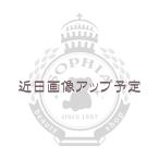 ダッフィー マルチケース One Lovely Day ダッフィーのおでかけグッズ ディズニー グッズ お土産(東京ディズニーシー限定)