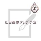 ダッフィー 多色ボールペン&シャープペンシル(Dr.Grip) One Lovely Day ダッフィーのおでかけグッズ ディズニー グッズ お土産(東京ディズニーシー限定)