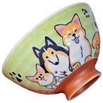 茶碗 犬好き 飯碗 飯器/ ドッグラン茶碗 大平 緑色 /犬だらけ 家庭用 犬グッズ
