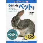 ..... стул .: 4:.... домашнее животное ..(DVD)
