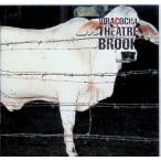 VIRACOCHA / THEATRE BROOK CD Японская музыка 