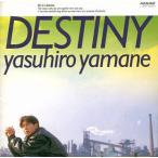 DESTINY~ сон ....../ Yamane Yasuhiro CD Японская музыка 