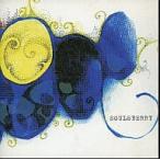 the end of vacation / SOULSBERRY CD Японская музыка 