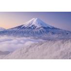 1000ピース ジグソーパズル 雪景色の三ツ峠より望む富士山（山梨） (50x75cm)