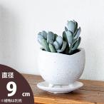 鉢 植木鉢 陶器 おしゃれ 室内 植え替え 白 ミニ 足付き、作家が作ったみたいな植木鉢S(9cm)