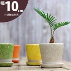 ショッピング植木鉢 鉢 植木鉢 JUNK風 おしゃれ 室内 ツートンカラーの陶器鉢 S(10cm)