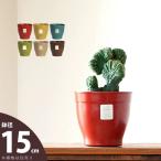 植木鉢 おしゃれ 軽い 「エコフォームズ」(15cm) 5号 観葉植物 鉢 アメリカ生まれの植木鉢 鉢カバー 室内 屋外 カラー