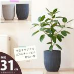 植木鉢 陶器 おしゃれ 大型 鉢カバー 店長お勧め!サイズ感GOODな植木鉢(31cm・面長)VO31 ※植物とは同梱不可