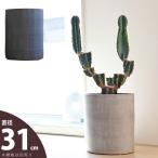 鉢 植木鉢 陶器 おしゃれ 大型 鉢カバー 店長お勧め!サイズ感GOODな植木鉢(31cm・シリンダ)VC31 ※植物とは同梱不可