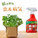 " хорошо есть насекомое "." болезнь .". инсектицид стерилизация .( алый kaX штраф спрей 420ml)