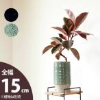 鉢 植木鉢 おしゃれ 陶器 鉢カバー 室内 和風 落ち着いた和モダン植木鉢/トールtype(14cm)