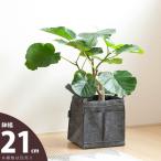  нетканый материал pot горшок покрытие текстильный модный симпатичный легкий сумка работник . производить сделал горшок покрытие *21cm× высота 22cm