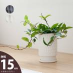 植木鉢 おしゃれ 室内 個性的。けれど主張はしすぎない縦長陶器鉢M（15ｃｍ 背が高いtype）