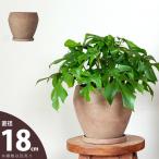 鉢 植木鉢 陶器 おしゃれ 色が素敵!ベージュ(ペールオレンジ)釉薬の陶器鉢・M(18cm)