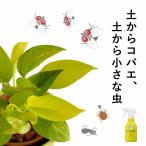 [ земля .]kobae, маленький насекомое .. попробовав посмотрев! натуральный материалы. инсектицид 