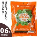  декоративное растение земля вид камерная музыка подбородок![ гореть мусор ] как выбрасывать .OK! декоративное растение & суккулентное растение. земля [ немного количество упаковка 4 номер горшок предназначенный (0.6L)]