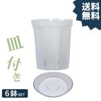 植木鉢 透明 プラ鉢 ネガミエル [受皿付き]6鉢SET！根が見える、透明スリット鉢（5号） 観葉植物 根が見える鉢 クリア 鉢 プラスチック　※お届けは5/23〜