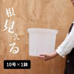 ネガミエル 透明スリット鉢 10号サイズ×1鉢 根が見える 浅岡園芸 プラスチック クリア 透明 スリット 鉢 観葉植物 NEgamieru