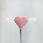  растения декоративное растение pick [ ручная работа ] цветок pick * перо Heart 