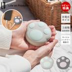  одноразовый нет .. Кайро мобильный аккумулятор c функцией заряжающийся LCAEA008 рука утеплитель лапа кошка модный регулировка температуры холод . меры ходить на работу LP