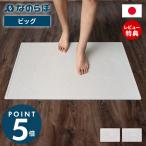 (豪華２大特典) なのらぼ 足快バスマット ビッグ 珪藻土 日本製 速乾 吸水 抗菌 消臭 大判 ファミリー お風呂 足ふきマット 大家族 施設