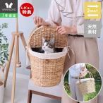  домашнее животное дорожная сумка кошка собака натуральный материалы натуральный модный house bed интерьер корзина nenneya тигр nenne yatryama Solo 