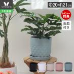 植木鉢 フラワーポット 観葉植物 グリーン おしゃれ プランター 屋外 屋内 鉢カバー 6.5号 直径20cm クレッシェル crescere ヤマソロ