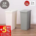 1/11は最大17％還元！ ゴミ箱 ダストボックス 30L 2点セット 日本製 キャスター付き 蓋つき プッシュ 蓋 北欧 スリム 大容量 セット おしゃれ スタイリッシュ