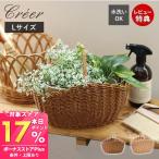 3/8. P+17% восстановление! utileyutirucreerkree овальный one руль корзина L корзина ручка имеется место хранения ротанг style ... пластик Северная Европа держать рука круг 