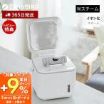 12/5. P+9% восстановление! ( роскошный 2 большая привилегия ) отпариватель лицо прекрасный лицо контейнер двойной пар nano шерсть дыра уход увлажнитель сухой очищение ESH-2787W TWINBIRD Twin Bird 