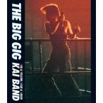 THE BIG GIG(Blu-ray Disc) ／ 甲斐バンド (Blu-ray)