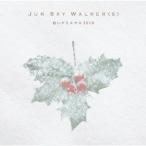 白いクリスマス2018(DVD付) ／ JUN SKY WALKER(S) (CD)