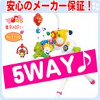 ★ポイント3倍★ へんしん5WAYメリージム トイローヤル へんしん 5WAY メリージム