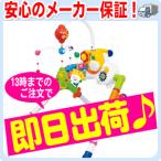 【13時まで即日出荷♪】 ★ポイント3倍★ へんしん5WAYメリージム トイローヤル