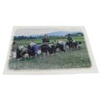  открытка Asian смешанные товары ne жемчуг * открытка (ne жемчуг. человек .) 36 клик post выбор стоимость доставки 200 иен 