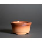  горшок для растений .. правильный .. температура бонсай горшок бонсай горшок автор da03