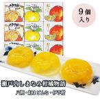 BEMAC(株)（(株)グリップコーポレイション） 瀬戸内しまなみ柑橘物語 ゼリー9個入 八朔 伊予柑 紅まどんな 贈答用 お中元 御中元 プレゼント ギフト 御祝