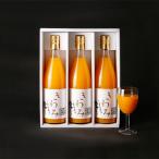 濱田農園　きわみジュース780ml×3本入 贈答用 お中元 御中元 プレゼント ギフト 御祝