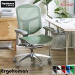 新型 エルゴヒューマン エンジョイ2 Ergohuman Enjoy2 在宅ワーク ロータイプ メッシュモデル EJ2-LAM 関家具 正規代理店