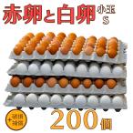  яйцо Tama ... Chan Tama . красный яйцо 100 шт . белый яйцо 100 шт S размер всего 200 шт ( примерно 10Kg)+ повреждение возмещение бесплатная доставка куриное яйцо выгода Kyushu производство подарок на Bon Festival подарок по случаю конца года повреждение возмещение ввод первый производство . яйцо 