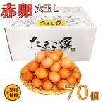  яйцо Tama ... Chan Tama . красный яйцо L размер 70 шт ( примерно 5Kg)+ возмещение бесплатная доставка куриное яйцо выгода Kyushu производство сырой еда для подарок на Bon Festival подарок по случаю конца года повреждение возмещение ввод 