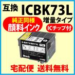エプソン ICBK73L 大容量 純正同様 顔
