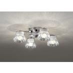 OC257139BRオーデリックシ...