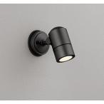 屋外用スポットライト オーデリック OG254588