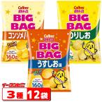 ショッピングごま油 カルビー　ポテトチップス　BIGBAG(ビック・ビッグ)　160g　3種各4袋セット(計12袋)　うすしお・のりしお・コンソメパンチ　『送料無料(沖縄・離島除く)』