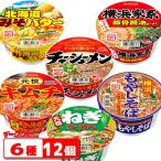 ニュータッチ カップ麺 6種各2個セット (計12個) アソートAセット ラーメン ヤマダイ