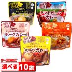 ショッピングレトルトカレー 富良野市場　スープカレーシリーズ　選べる10袋　袋のままレンジであたため　『送料無料(沖縄・離島除く)』