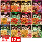 ショッピングパスタ ハチ食品　たっぷりパスタソース200g〜285ｇ　12種類各1袋セット（計12袋）　レトルト　大盛　詰め合わせ『送料無料(沖縄・離島除く)』