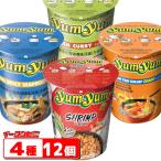 yumyum　カップ麺　4種各3個（計12個